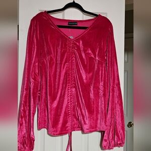 Plus Size Pink Velvet V-Neck Blouse NWT